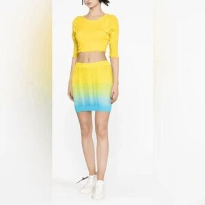 NWT AGR happiness & serenity mini skirt Small $425